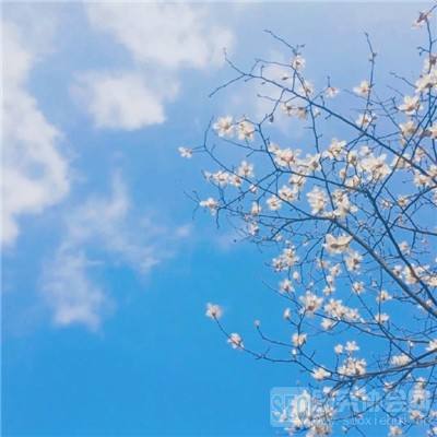 仙剑奇侠传5修改存档版下载